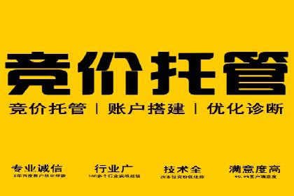 SEM广告优化：成功案例与策略分享